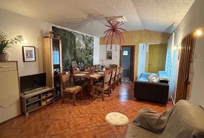 Casă cu 4 camere în Viile Satu Mare