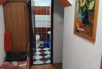 Apartament cu 2 camere decomandat în Remetea Mare - 7