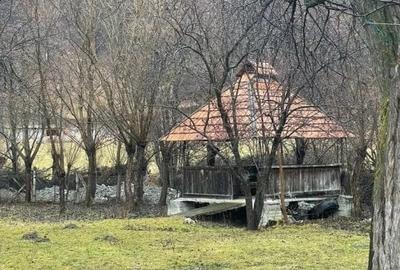 PENSIUNE aplasata in frumoasa statiune BRAN/MOIECIU - 6