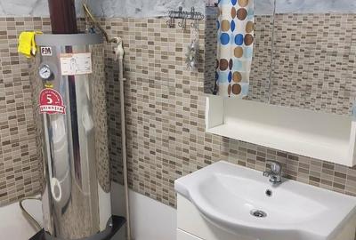 Casă individuală cu 2 camere cu Teren 545 Mp în Zănoaga - 6