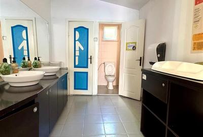 De inchiriat Spatiu 200 mp, curte 250 mp  in zona Iulius Mall - 11