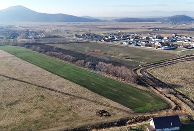 Teren extravilan cu potential ridicat | Harman, zona de case - 5