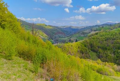 Teren agricol extravilan de 18537 mp, în Poiana Mărului - 5