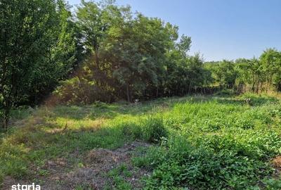 Teren de 2200 mp, în Milcoiu - 6