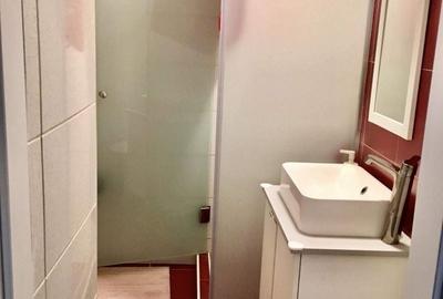 Apartament cu 2 camere semidecomandat, mobilat în Gara de Nord - 4