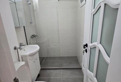 Apartament cu 3 camere de inchiriat in Drumul Taberei - Favorit - 9