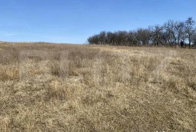 Teren de 140551 mp, în Recea - 3