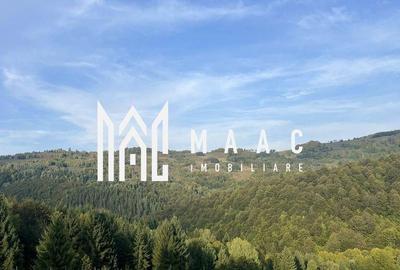 Teren de 14242 mp, în Sohodol - 1