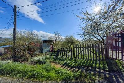 Teren intravilan 2751mp in Satul Mintia din Comuna Vetel, Judetul Hunedoara, sunt toate utilitatile. - 3