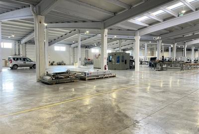 Hala moderna / Productie / Depozitare - 5