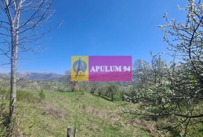 Vila de vanzare in Comarnic - 44