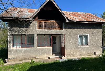 Casă cu 2 camere în Dobroteasa - 6