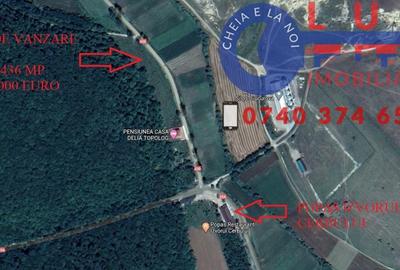 Teren de 1436 mp, în Topolog