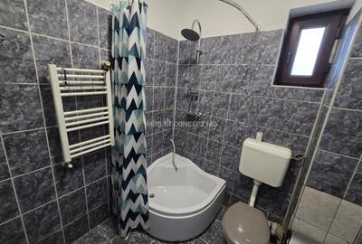 Garsonieră semidecomandată, mobilată în Ana Ipătescu - 14
