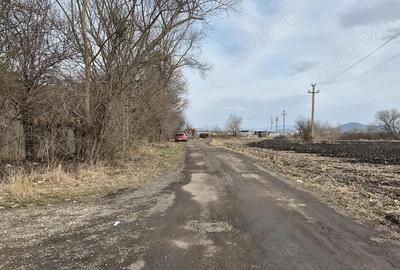 Teren de 45770 mp, în Stupini - 1