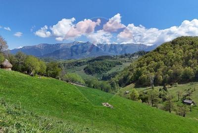 Teren Construcții intravilan de 5694 mp, în Moieciu - 5