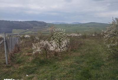 Teren de 2100 mp, în Șieu - 4