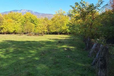 Teren de 1150 mp, în Central - 3