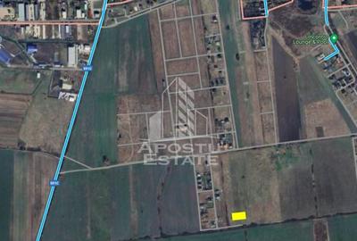 Teren 657 mp Sacalaz zona Pausa, ideal investie