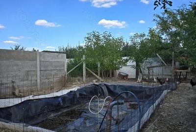 Casă cu 3 camere cu Canalizare în Parța - 12