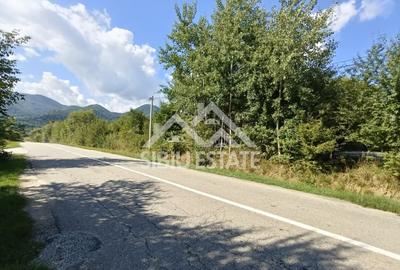 Teren  construibil ,la sosea, intre Vale si Sibiel, zona cu potential - 3