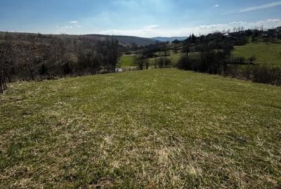 OPORTUNITATE! Teren intravilan, 9600 mp, zona Feleac