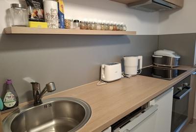 Garsoniera - decomandata - Camil Ressu - 6