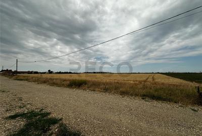 RECO Teren Extravilan(4500 MP) in Oradea - 1