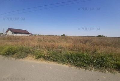 Teren pentru case in 1 Decembrie - 7