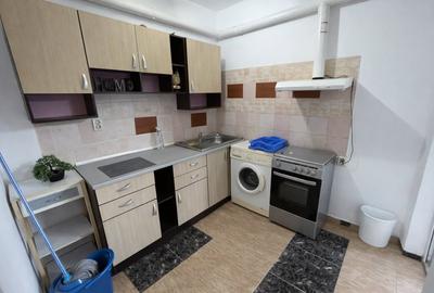 Apartament cu doua camere Calea Lipovei - 7