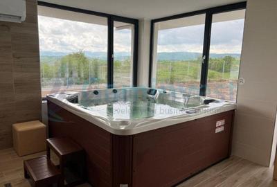 Gaminvest,Afacere de 4 stele de vanzare in Vadul Crisului, Bihor, Romania,V4254 - 4