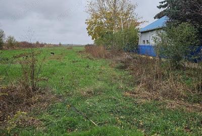 Comuna Butimanu (Decindea), Judet Dambovita, teren intravilan si extravilan - 3