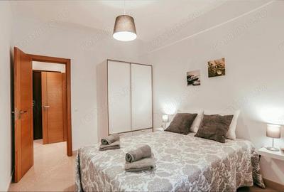 De inchiriat apartament cu o camera zona Torontalului - 3