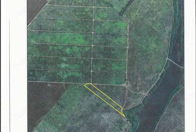 Teren de 7500 mp, în Frumușani - 2