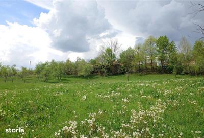 Casă cu 4 camere cu Teren 4977 Mp în Ribița - 13