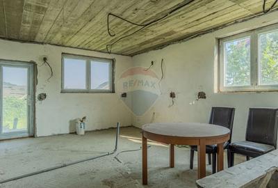 Casă individuală cu 10 camere cu Piscina în Bunloc - 26