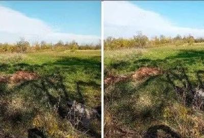 Teren Ungheni, ID: R2832820 - 4