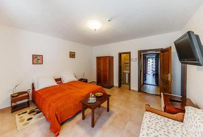 Casă cu 12 camere cu Teren 5028 Mp în Poiana - 17