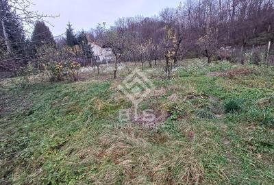 Teren intravilan 1300mp, Zona Valea Ghinzii - 3