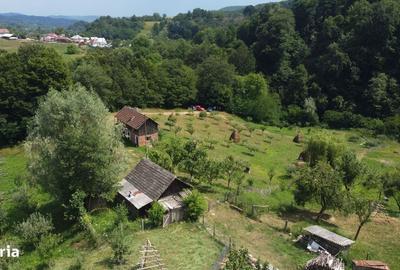 Spațiu comercial, în Cicănești - 15