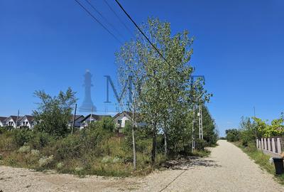 Teren pe malul Lacului Buftea - Crevedia - 19