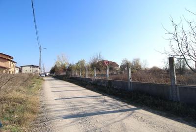 Teren dezvoltare 4763 pe malul Lacului Mogosoaia deschidere 40 metri - 8