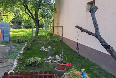 Casă cu 3 camere în Anda - 4