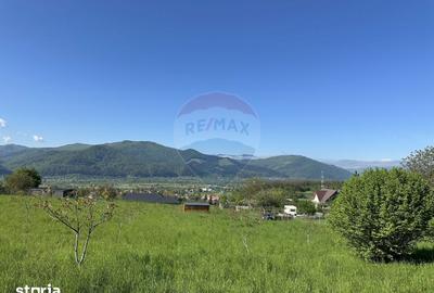 Teren de 4528 mp, în Alexandru cel Bun - 3