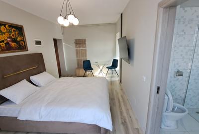 GARSONIERA LUX ULTRACENTRAL BLOC NOU LA PRIMA INCHIRIERE - 3