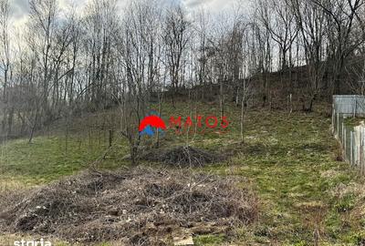 Casă cu 3 camere decomandat cu Teren 1554 Mp în Poiana - 5