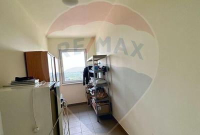 Oportunitate vie 54 ha la DN E85 - 4