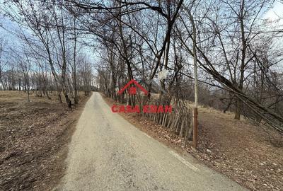 Casă cu Teren 3074 Mp în Cornu - 10