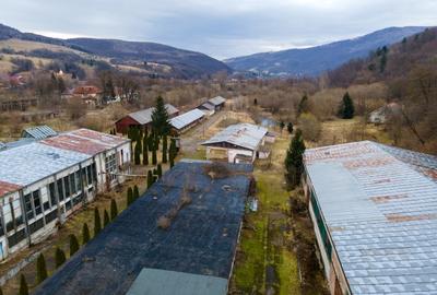Negreni hala industriala - fosta fabrica de scaune din lemn vanzare rapida - 7