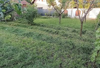 Casă cu 4 camere cu Teren 1000 Mp în Braniștea - 5